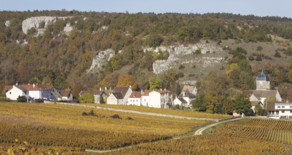 Topo de vignoble: Chambolle-Musigny