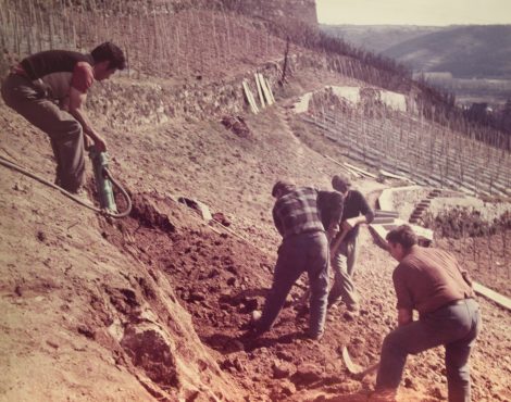 Renouveau en Rhône-Nord