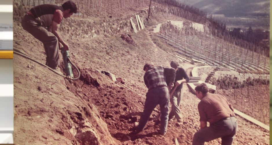 Renouveau en Rhône-Nord