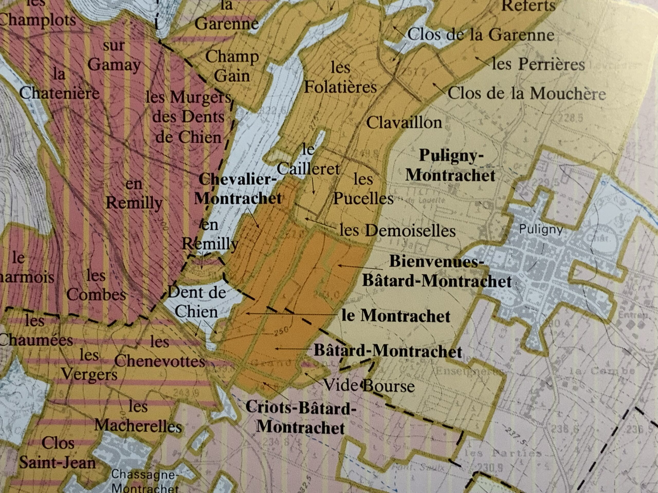 Montrachet bazin